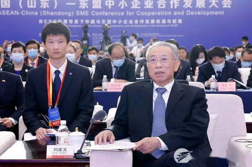 中國山東-東盟中小企業合作發展大會在濟開幕，推動軟件應用深化經貿合作