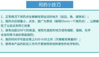 食品工廠如何徹底消滅蟑螂？專家分享實(shí)用方法與運(yùn)營(yíng)策略